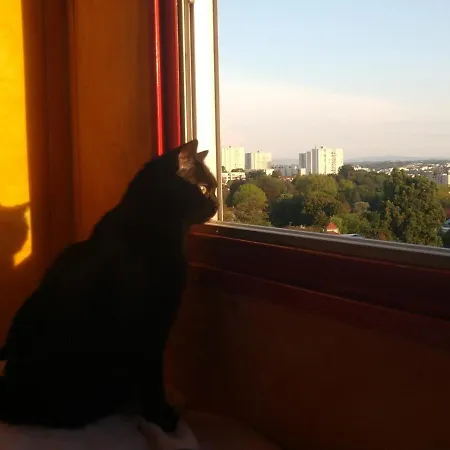 1, 2 Or 3 Bedroom With View & Parking Free Nuits Fourviere Apartmán